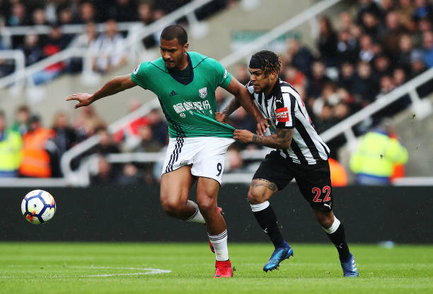 鲜有机会露 鲜有机会露